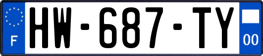HW-687-TY