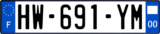 HW-691-YM
