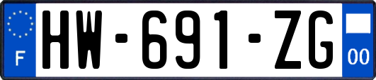 HW-691-ZG