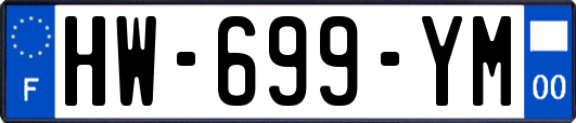 HW-699-YM