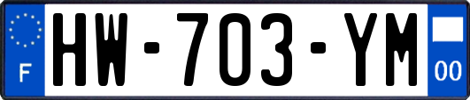 HW-703-YM