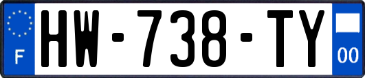HW-738-TY