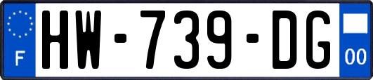 HW-739-DG