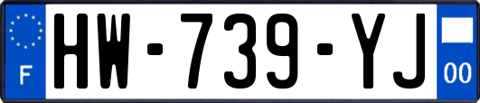 HW-739-YJ