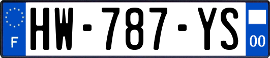 HW-787-YS