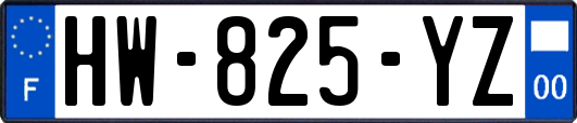 HW-825-YZ