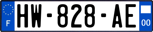 HW-828-AE