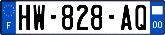 HW-828-AQ