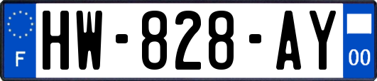 HW-828-AY