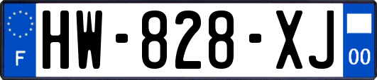 HW-828-XJ