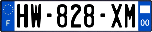 HW-828-XM