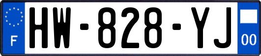 HW-828-YJ