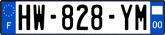 HW-828-YM