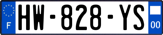 HW-828-YS