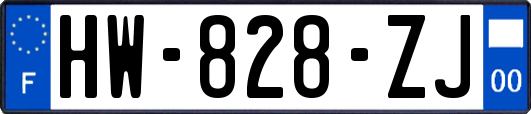 HW-828-ZJ