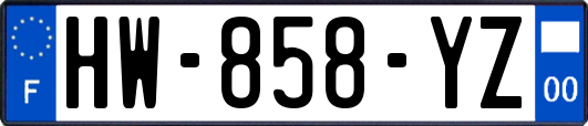 HW-858-YZ