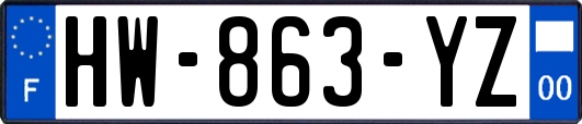 HW-863-YZ