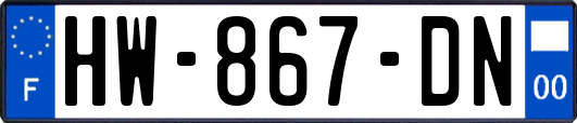 HW-867-DN
