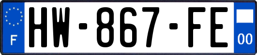 HW-867-FE