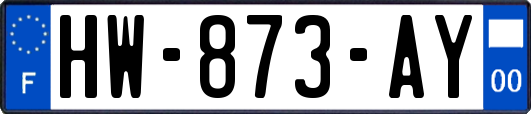 HW-873-AY