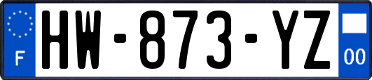 HW-873-YZ