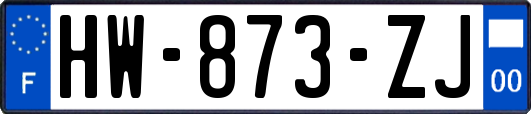 HW-873-ZJ