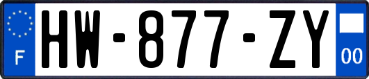 HW-877-ZY