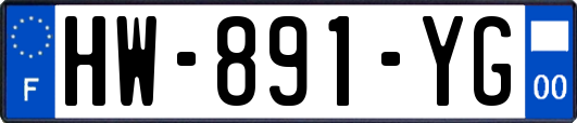 HW-891-YG