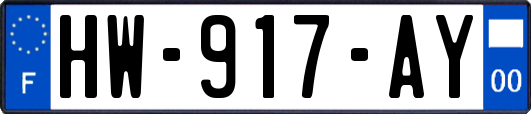 HW-917-AY