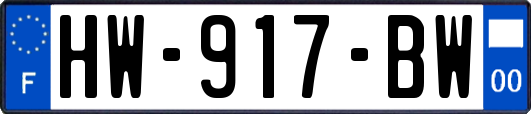 HW-917-BW