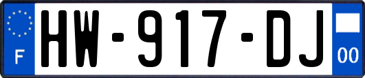 HW-917-DJ