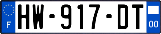 HW-917-DT