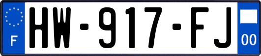 HW-917-FJ