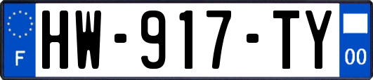 HW-917-TY