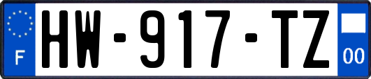 HW-917-TZ