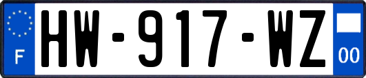HW-917-WZ