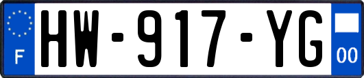 HW-917-YG
