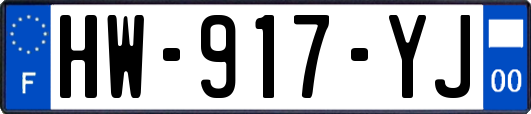 HW-917-YJ