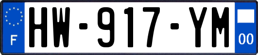 HW-917-YM