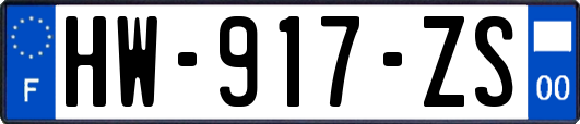 HW-917-ZS