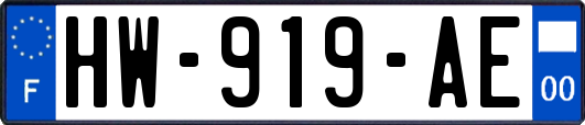 HW-919-AE