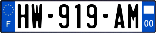 HW-919-AM