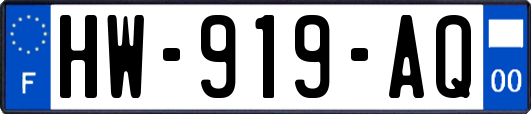 HW-919-AQ