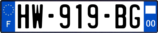 HW-919-BG