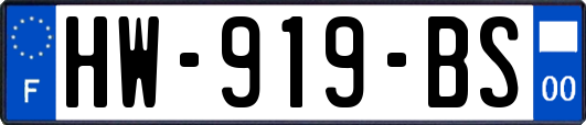 HW-919-BS