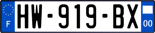 HW-919-BX