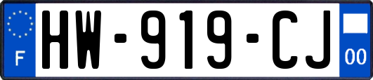 HW-919-CJ