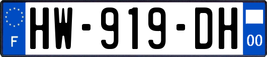 HW-919-DH