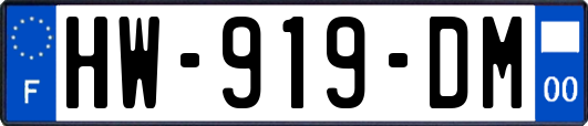 HW-919-DM