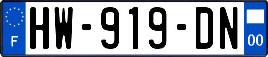 HW-919-DN